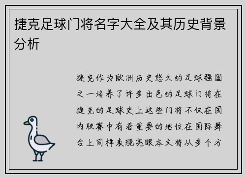 捷克足球门将名字大全及其历史背景分析