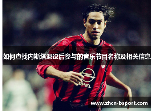 如何查找内斯塔退役后参与的音乐节目名称及相关信息